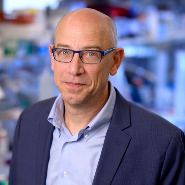 Prevention, Early Detection and<br />
Pre-invasive Disease
